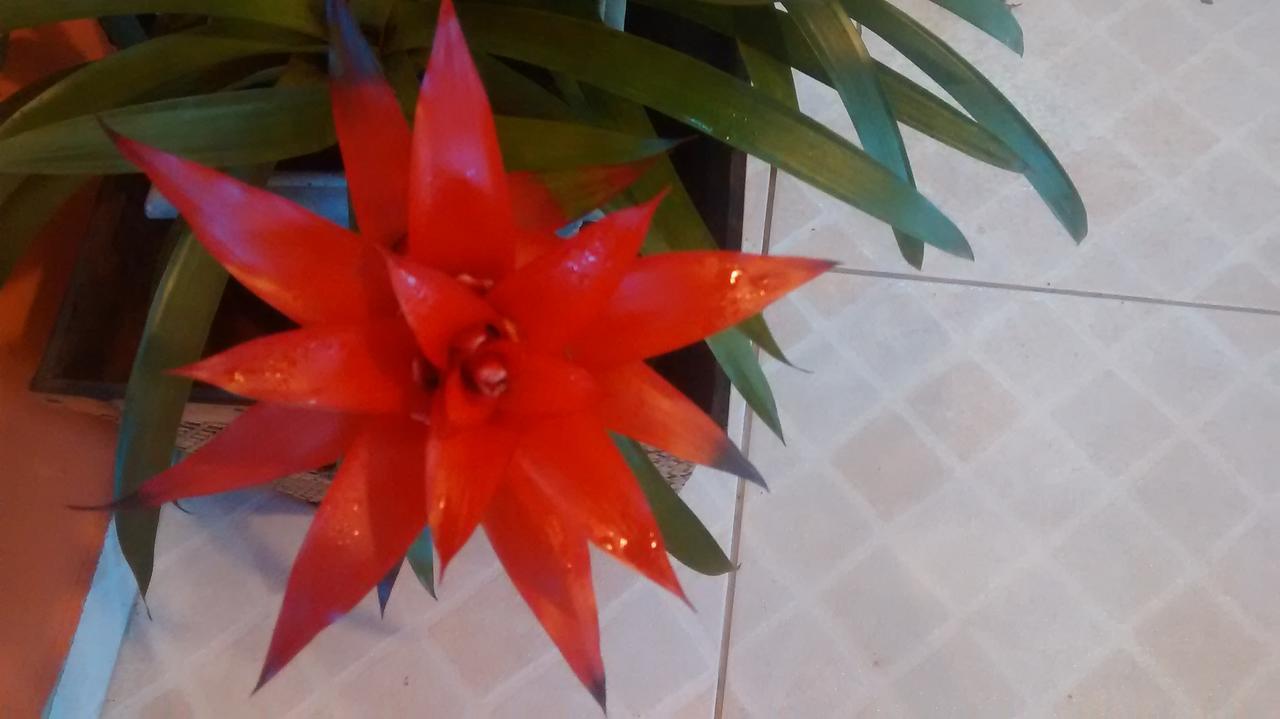 Pensão Birutta &